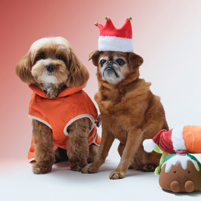 Gifts for pets